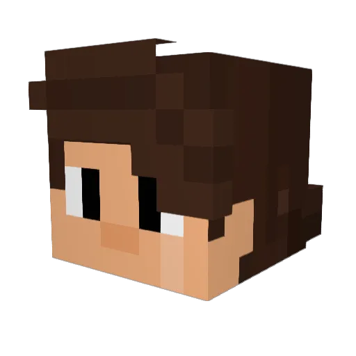 schmangooo Minecraft avatar head, 3D render