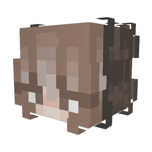 schmediummm Minecraft avatar head, 3D render