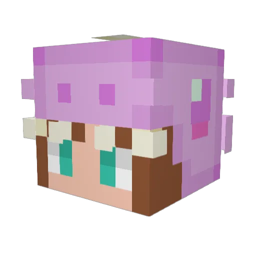 schmooomo Minecraft avatar head, 3D render