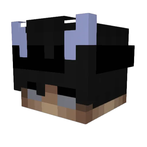 schmuggeln Minecraft avatar head, 3D render