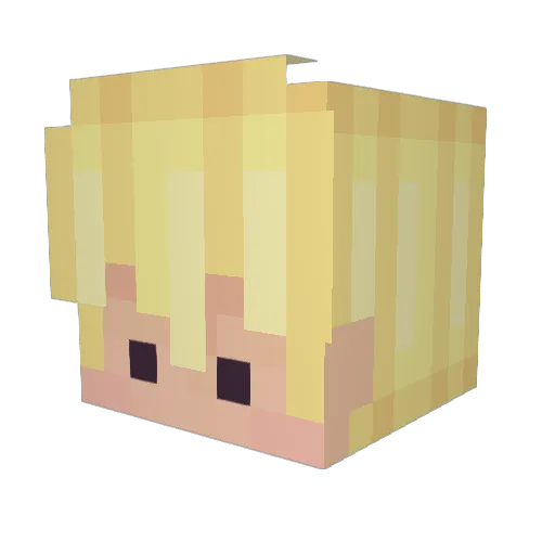 schnee64 Minecraft avatar head, 3D render