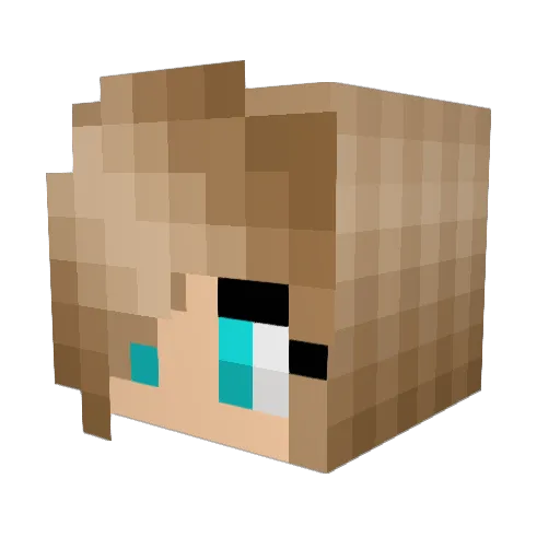 schneechen1207 Minecraft avatar head, 3D render