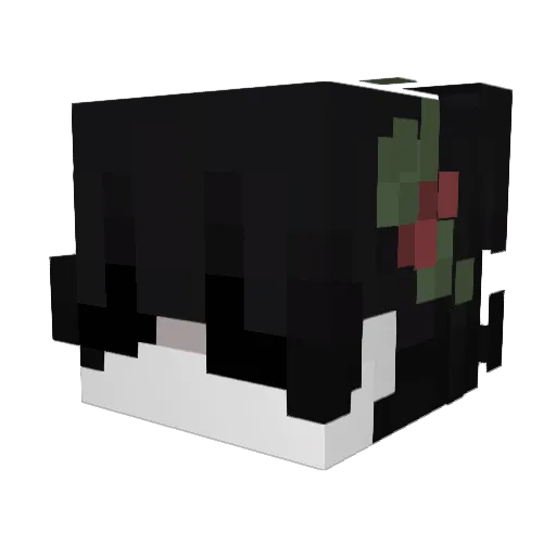 schneerieselt Minecraft avatar head, 3D render
