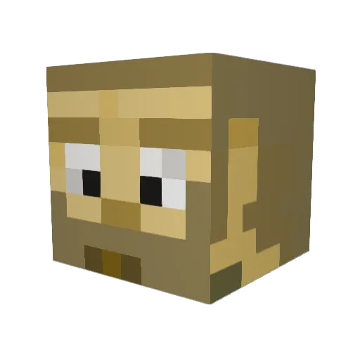 schnfl Minecraft avatar head, 3D render