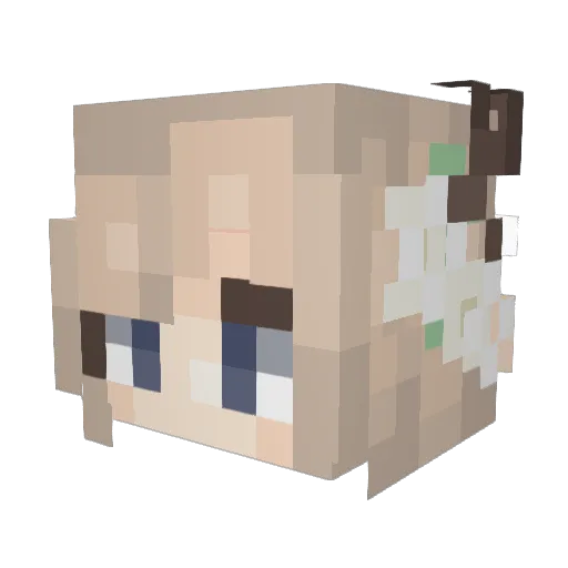 schnuffilein Minecraft avatar head, 3D render
