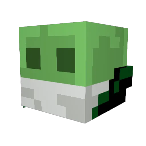 schnumi2024 Minecraft avatar head, 3D render