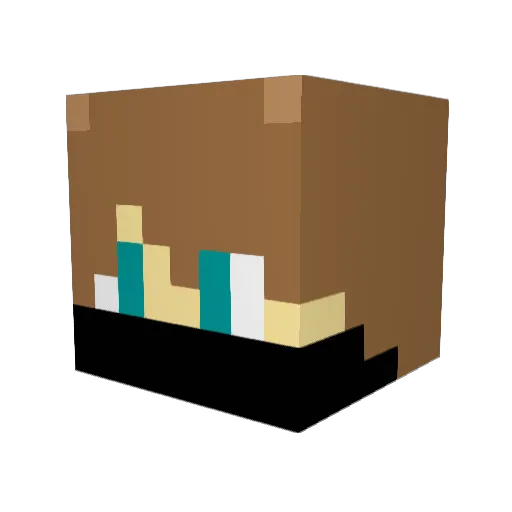 schockii2011 Minecraft avatar head, 3D render