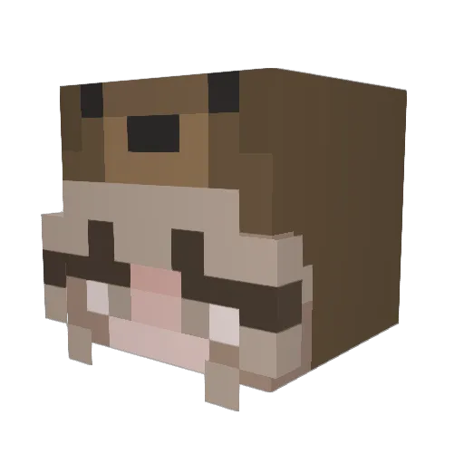 schokoladigg Minecraft avatar head, 3D render