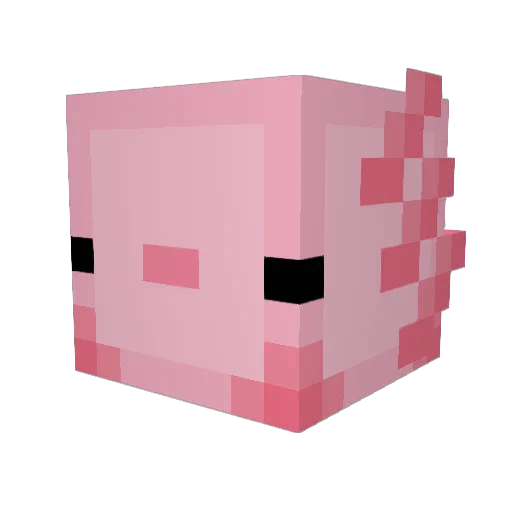schooj Minecraft avatar head, 3D render