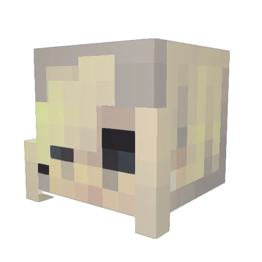 schoolgirlsdiary Minecraft avatar head, 3D render