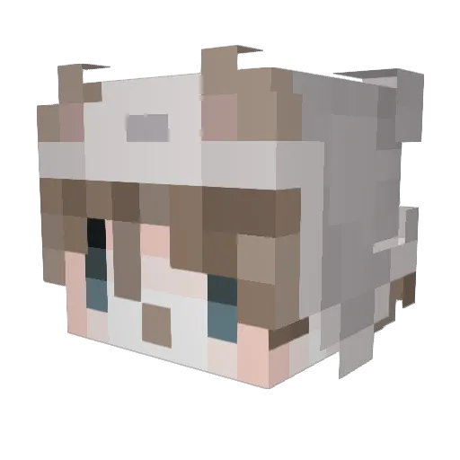 schploofy Minecraft avatar head, 3D render