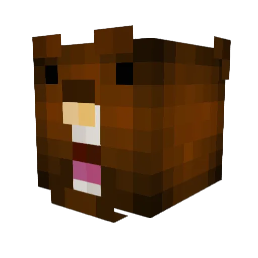 schralewasser Minecraft avatar head, 3D render