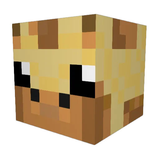 schrolo Minecraft avatar head, 3D render