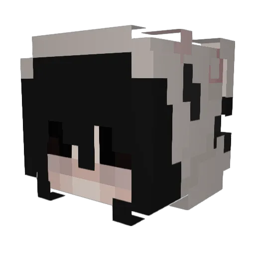 schwani_ Minecraft avatar head, 3D render
