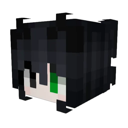 schwanke Minecraft avatar head, 3D render