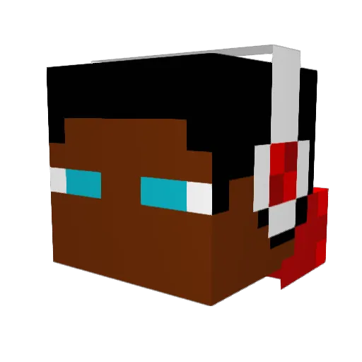 schwarty14 Minecraft avatar head, 3D render