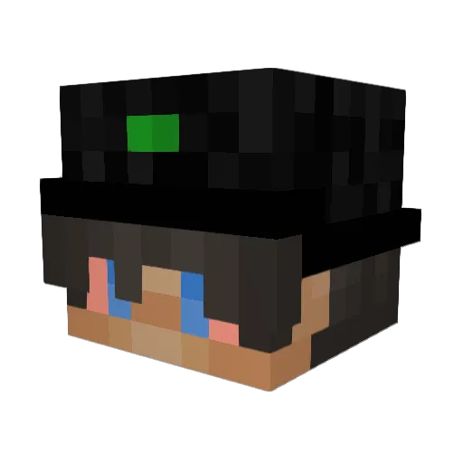 schweigsn420 Minecraft avatar head, 3D render