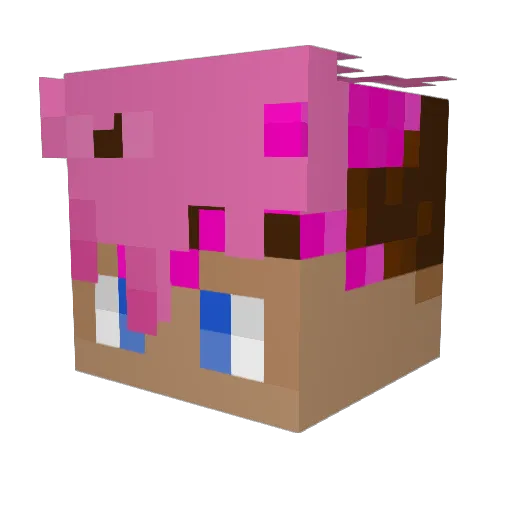 schweppo Minecraft avatar head, 3D render