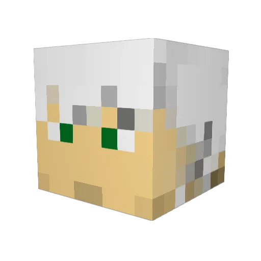 schwestern Minecraft avatar head, 3D render