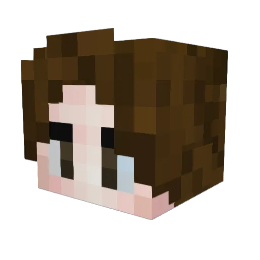 schwinn_36 Minecraft avatar head, 3D render