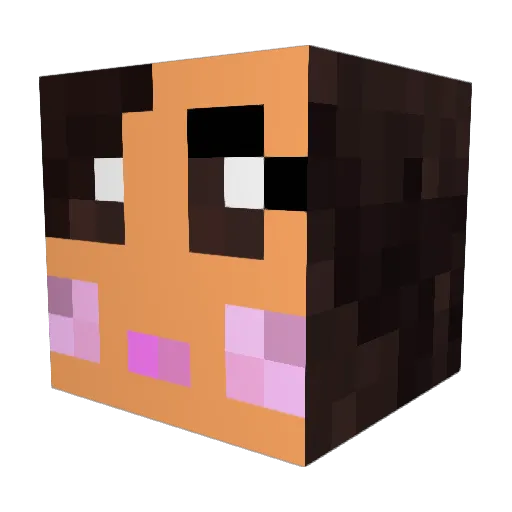 scidude99 Minecraft avatar head, 3D render