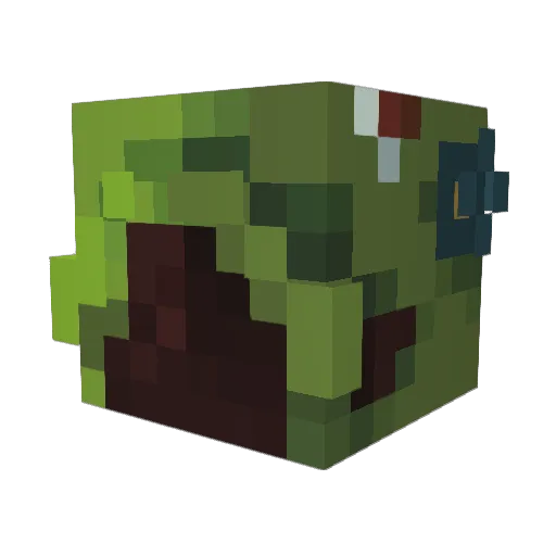 scissorskate Minecraft avatar head, 3D render