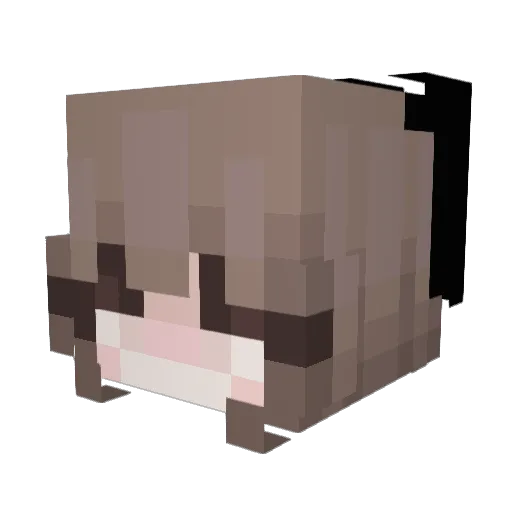 scissortotle Minecraft avatar head, 3D render
