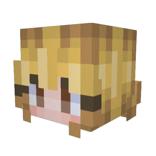 scitwiii Minecraft avatar head, 3D render