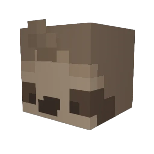 sckup Minecraft avatar head, 3D render
