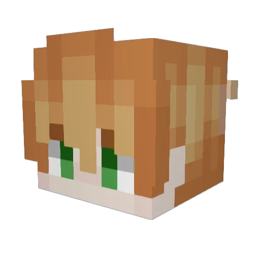 sclid Minecraft avatar head, 3D render