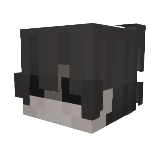 scoffers Minecraft avatar head, 3D render