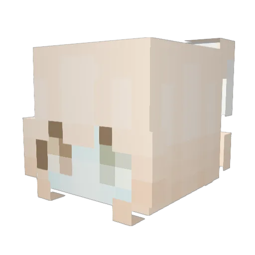 scoileciphobia Minecraft avatar head, 3D render