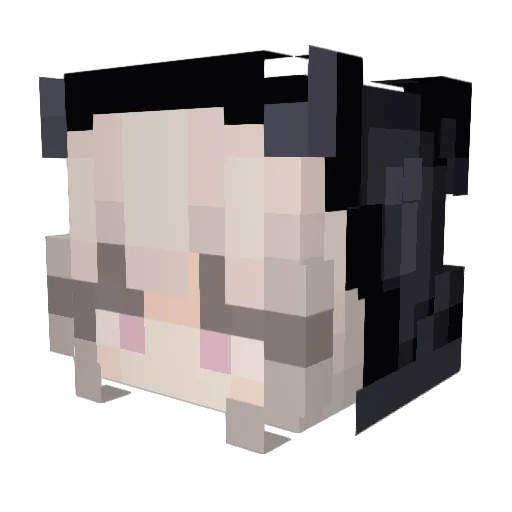 scola789 Minecraft avatar head, 3D render