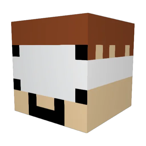 scooby_Snack18 Minecraft avatar head, 3D render