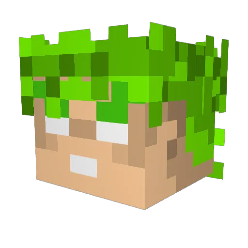 scoobydoo00420 Minecraft avatar head, 3D render