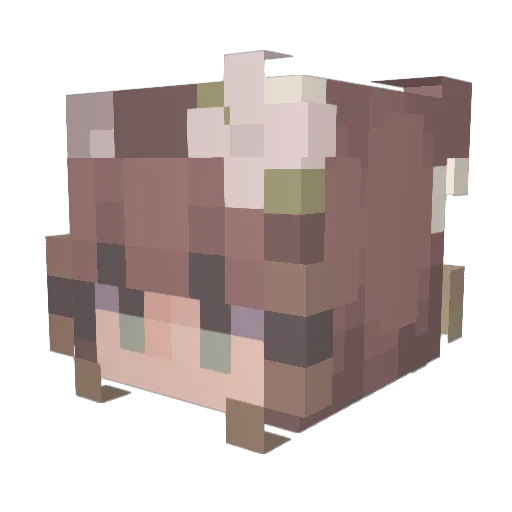 scoobydoobyd08 Minecraft avatar head, 3D render