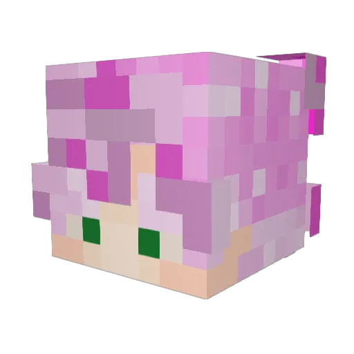 scoochalittle Minecraft avatar head, 3D render