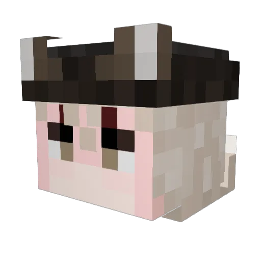 scoochin_ Minecraft avatar head, 3D render