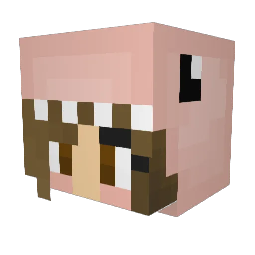 scooper00 Minecraft avatar head, 3D render