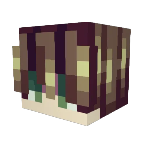 scooper97 Minecraft avatar head, 3D render