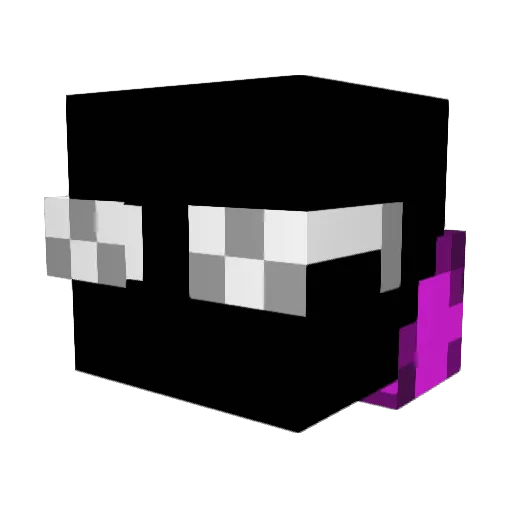 scooter2011 Minecraft avatar head, 3D render