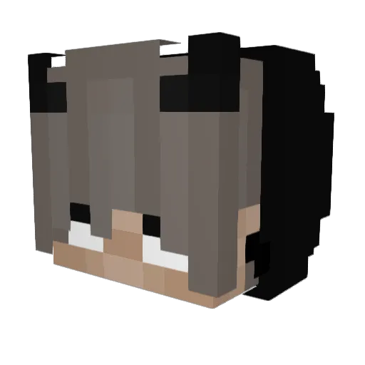 scorch22_ Minecraft avatar head, 3D render
