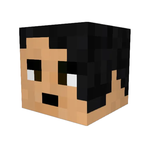 scorch883 Minecraft avatar head, 3D render