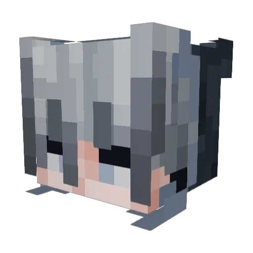 scotamc Minecraft avatar head, 3D render