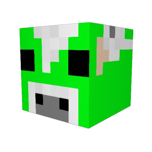scott3099 Minecraft avatar head, 3D render