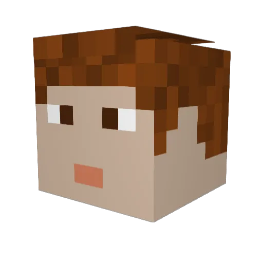 scottyduck Minecraft avatar head, 3D render