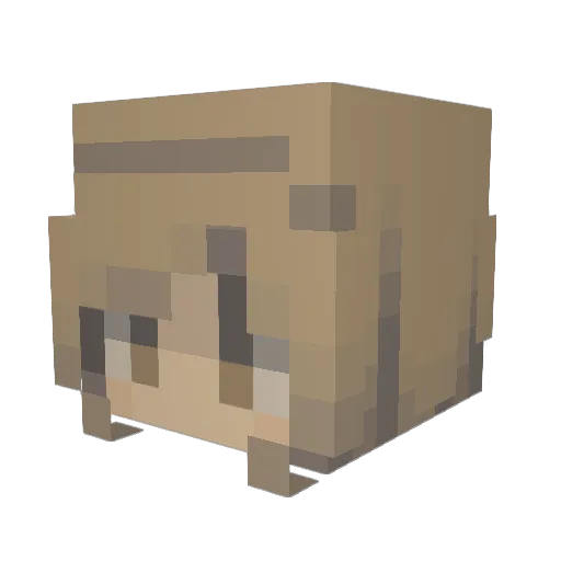 scousemae Minecraft avatar head, 3D render