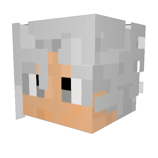 scow007 Minecraft avatar head, 3D render