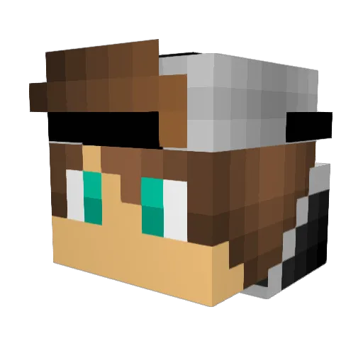 scower Minecraft avatar head, 3D render