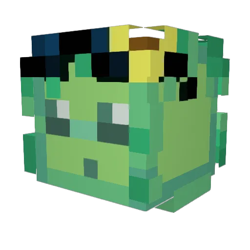 scr4ptyx Minecraft avatar head, 3D render